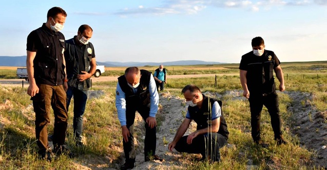 Çorum'un 156 hektarlık yeni ormanı var