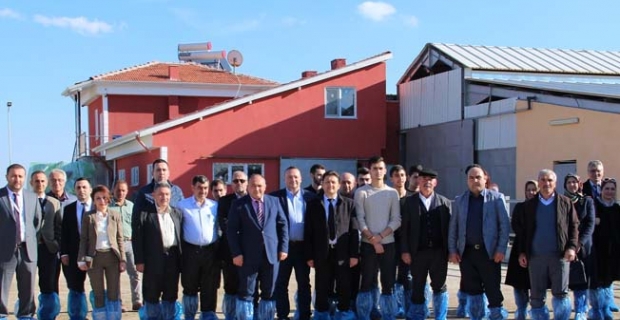 HİTÜ ve TKDK’dan buzağı ölümlerine karşı örnek proje