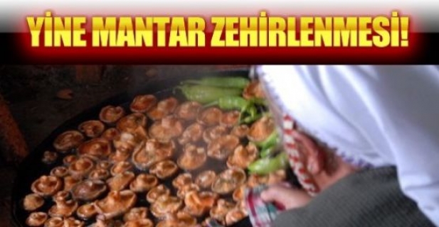 Araziden topladığı mantardan zehirlendi