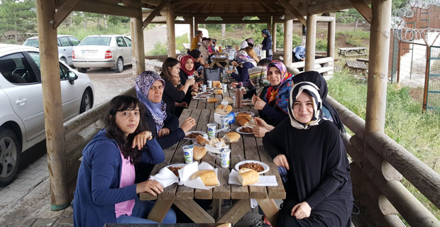 Anadolu İHL'de yıl sonu pikniği