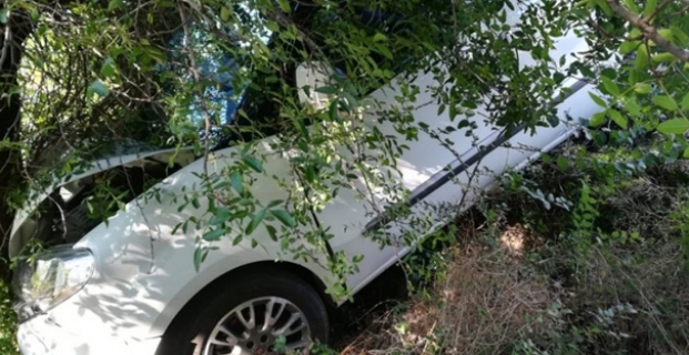 Tarladaki ağaca çarptı