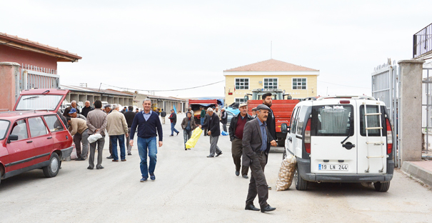 Buğday Pazarı, Alaca'nın cazibe merkezi