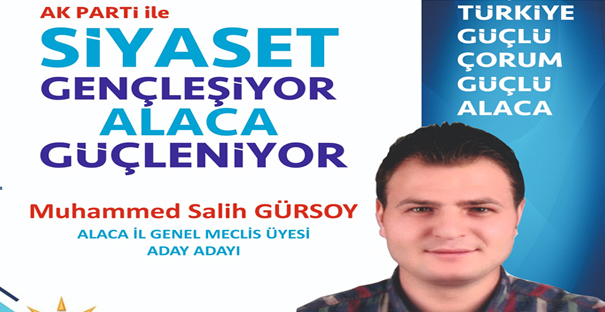 Gürsoy, İl Genel Meclisine talip