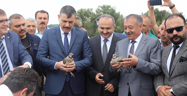 1500 kınalı keklik doğaya salındı