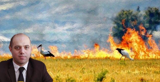 ‘Anız yakan geleceğini yakar’
