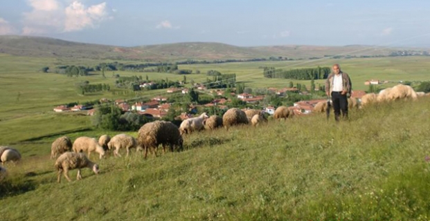 Küçükhırka’da “mera” mağduriyeti gideriliyor