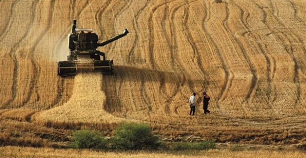 Tarım ürünlerinde fiyatlar açıklandı