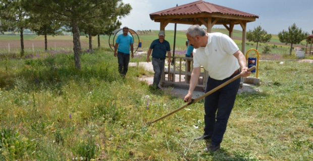 Başkan Şaltu, parkta ot biçti