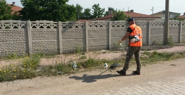 Yol kenarları temizleniyor