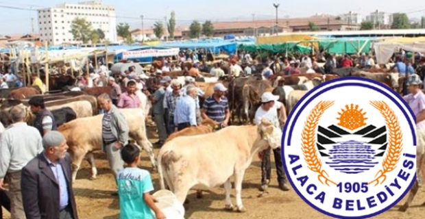 Hayvan Pazarı Cuma günleri kurulacak