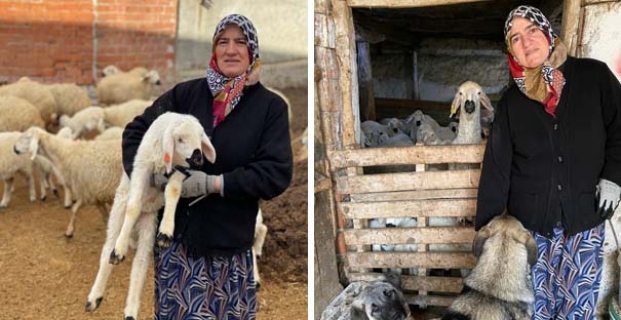 Köyüne döndü, sürü sahibi oldu