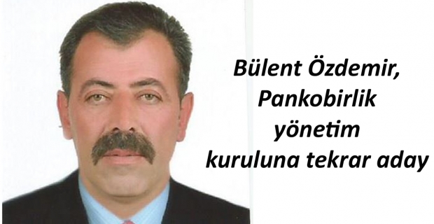 Bülent Özdemir, Pankobirlik yönetim kuruluna tekrar aday