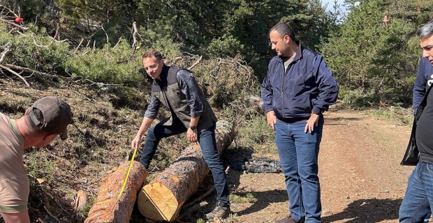 Alaca Orman İşletme sahaları incelendi