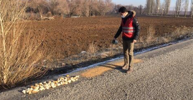 Yabani hayvanlara yem bıraktılar