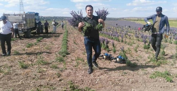 Bir ziraat mühendisinin yaktığı ışık, dalga dalga yayılıyor