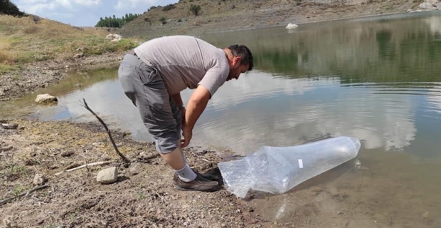 Baraj ve göletlere 22 bin balık bırakıldı