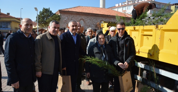 Alaca’da vatandaşlara fidan dağıtıldı