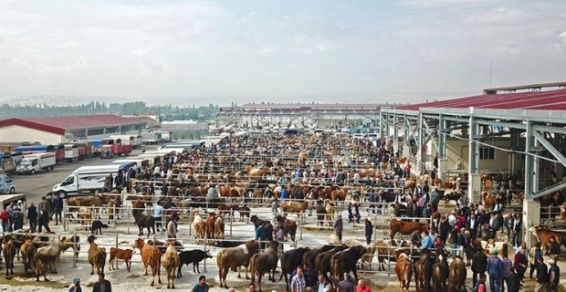 Hayvan Pazarları ikinci bir emre kadar kapatıldı