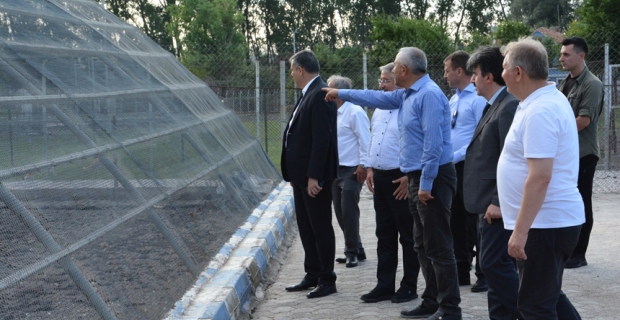 Sahipsiz Hayvanları Koruma Birliği Alaca’da toplandı