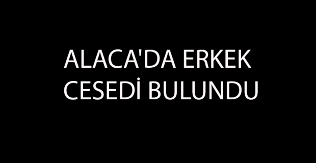 Alaca’da park halindeki otomobilin yanında ceset bulundu