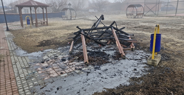 Alaca'da şehir magandaları parktaki kamelyayı yaktı