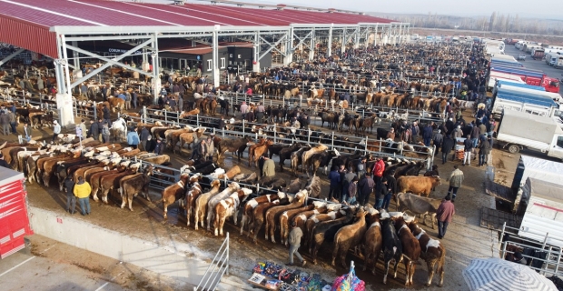 Hayvan pazarı geçici olarak kapatıldı