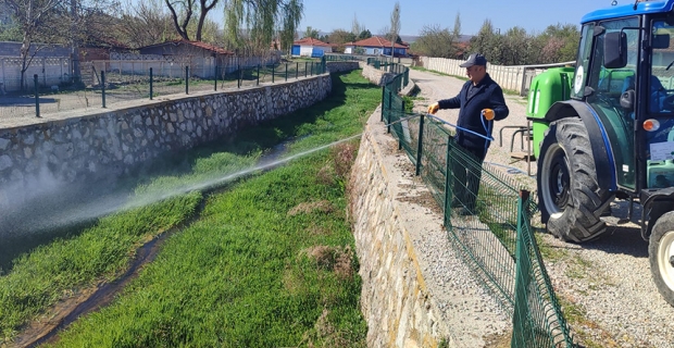 Alaca Belediyesi’nden sinekle mücadele