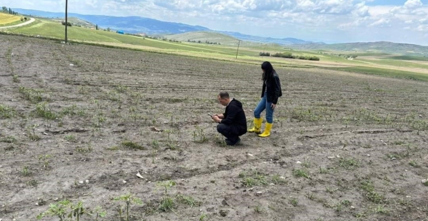 Dolu ve selden etkilenen Alaca'da zarar tespit çalışması başlatıldı