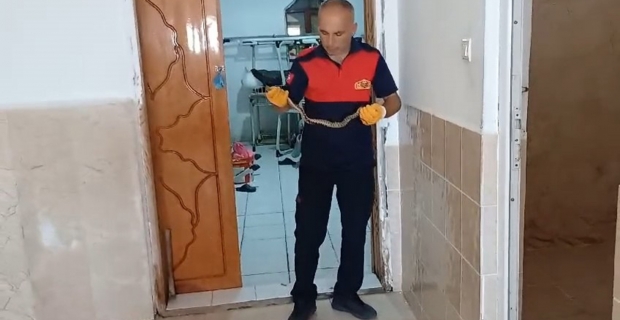 Alaca’da kurs deposuna giren yılanı itfaiye görevlisi yakaladı