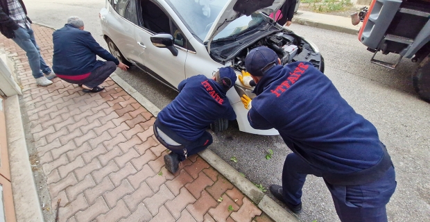 Çorum'da araç motoruna giren kedileri kurtarmak için seferber oldular