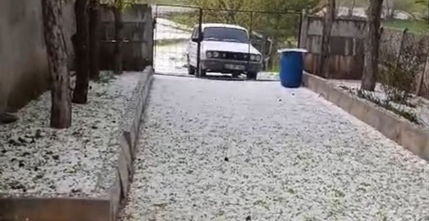 Alaca'da dolu yağışı etkili oldu: Tarlalar beyaza büründü