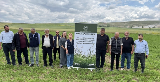 4 bin yıllık yolculuk: Alacahöyük’ten doğan “Habbet-üs Sevda” çörek otuyla yeniden vatanında