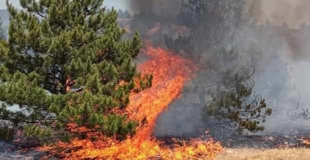 Karaçal Köyü ve Bakır Boğazı’nda Çıkan Yangın 500 Dönüm Alanı Küle Çevirdi