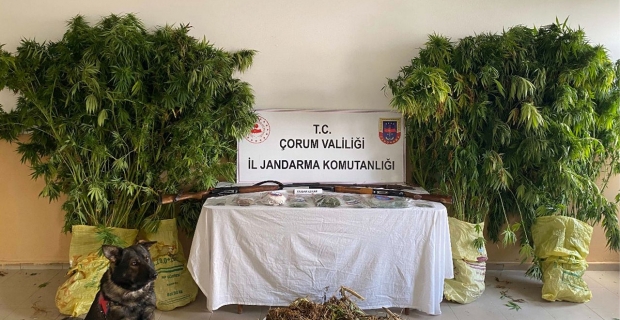 Alaca’da uyuşturucu operasyonu: 1 kişi tutuklandı