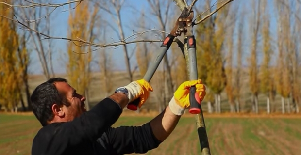 Alaca Belediyesi Sonbahar Temizlik ve Ağaç Dikim çalışmalarını sürdürüyor