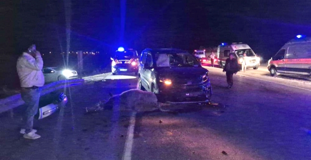 Alaca'da yola çıkan dana kazaya neden oldu: 3 yaralı