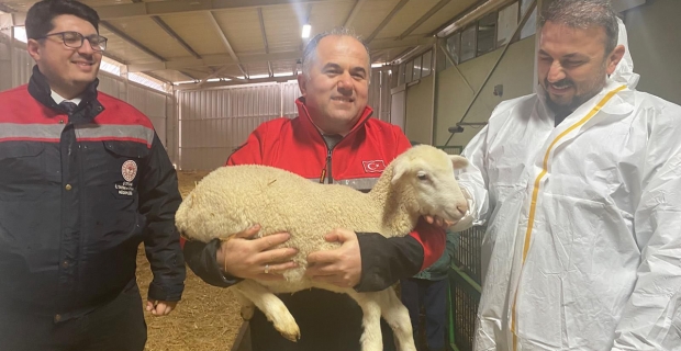 Alaca'da koyunculuk işletmesine yerinde inceleme