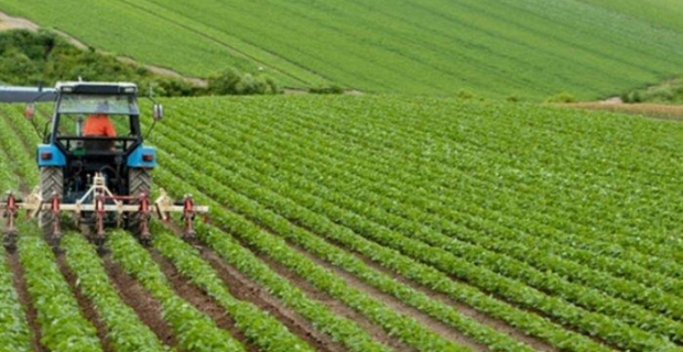 Alaca'da tarım arazisi icradan satışa çıkarıldı