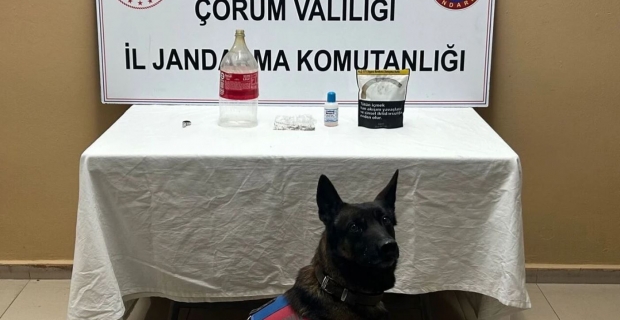 Alaca'da uyuşturucu operasyonu: 1 kişi yakalandı