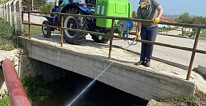 Alaca Belediyesi’nden sivrisineklerle etkin mücadele