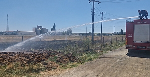 Alaca'da boş arsada yangın paniği: İtfaiye hızla kontrol altına aldı