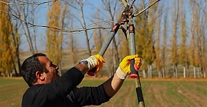 Alaca Belediyesi Sonbahar Temizlik ve Ağaç Dikim çalışmalarını sürdürüyor