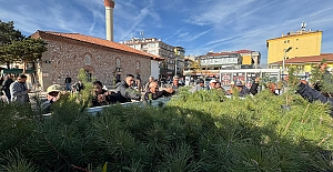 Alaca’nın geleceği toprağa emanet: Vatandaşlara fidan dağıtıldı