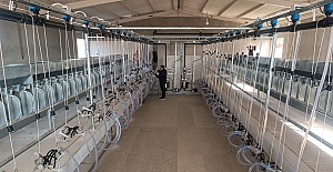 bAlacada Küçükbaş Hayvancılık.../b