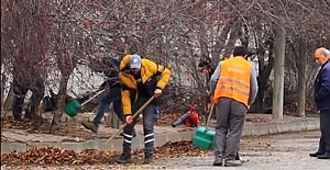 Alaca’da sonbahar temizliği sürüyor