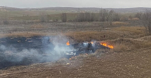 Kış ortasında ağaçlık alanda yangın