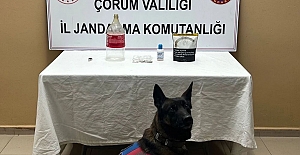 Alaca'da uyuşturucu operasyonu: 1 kişi yakalandı