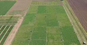 Alaca’da çiftçilere önemli toplantı çağrısı