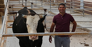 TKDK desteği ile hayalini kurduğu tesise kavuştu