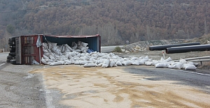 Buğday yüklü TIR devrildi